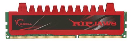 G.SKILL Ripjaws Series 8GB 240-Pin SDRAM DDR3 1600 Memory 